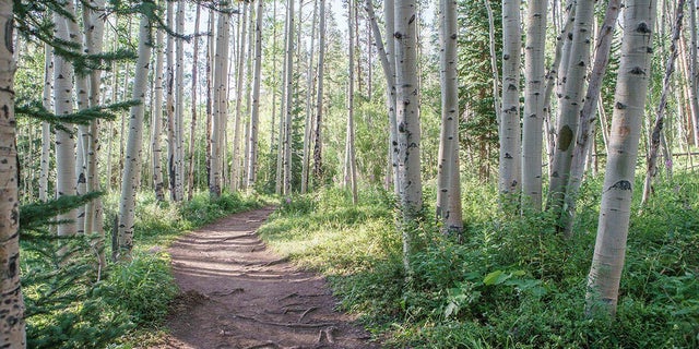 meadow-creek-trail-town-of-frisco.jpg