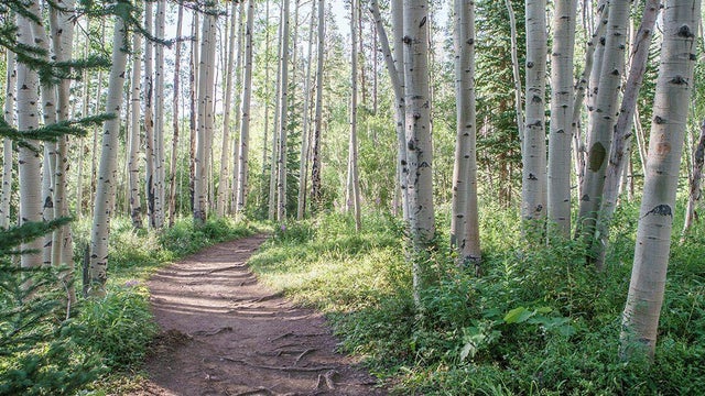 meadow-creek-trail-town-of-frisco.jpg 