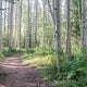 Warrant issued for New Mexico horse rider who threatened hikers on Colorado trail 