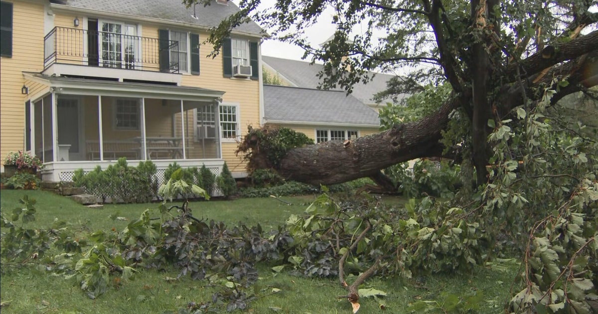 Residents survey damage after tornado touches down in Holden, Massachusetts Saturday