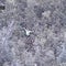 Michigan chopper camera helps find woman lost during YouTube challenge