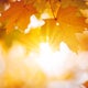 Sunny, highs in mid-upper 60s for Sunday 