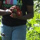 Nonprofit feeds community, teaches kids healthy eating 