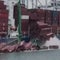 Video shows moment shipping containers started falling into Port of Long Beach