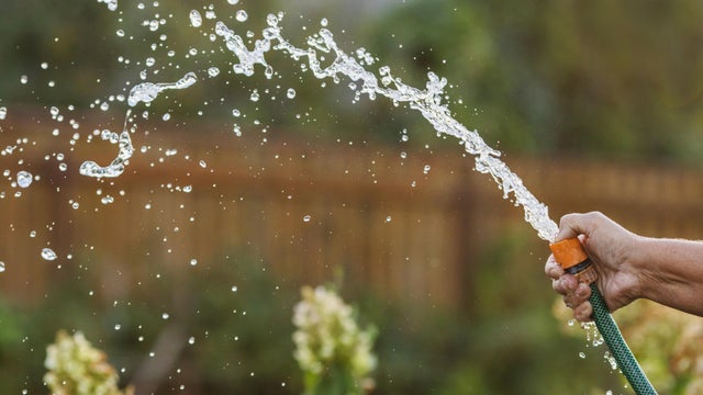 Watering plants 