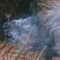 Firefighter at Grand Canyon wildfire suffers deadly cardiac emergency