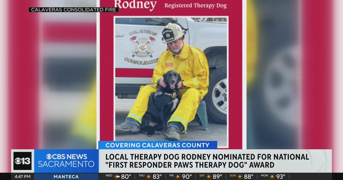 Calaveras County therapy dog nominated for national first responders award