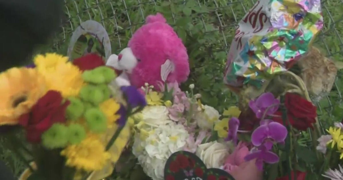 Vigil held for woman killed by dogs in Miami Gardens; 4 animals ...