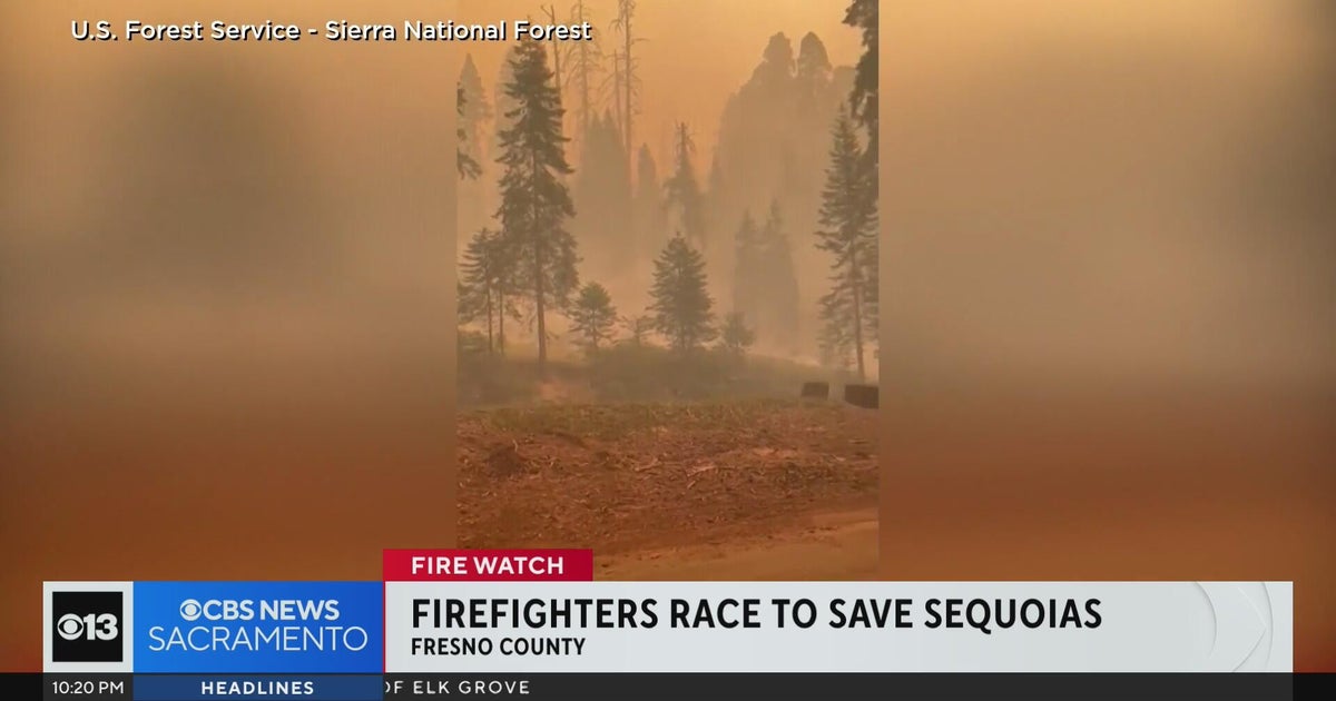 Firefighters race to save grove of giant sequoias in Central California