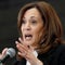 Reporter's Notebook: Kamala Harris on Biden's reelection campaign