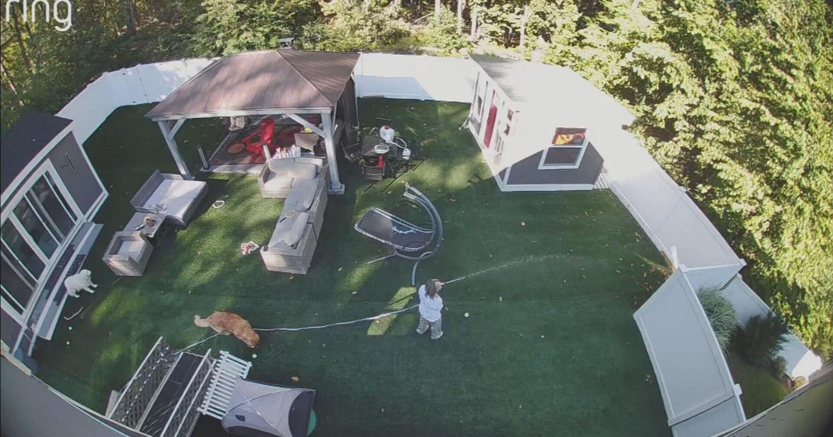 Shooting that killed Shrewsbury father heard on home security camera ...