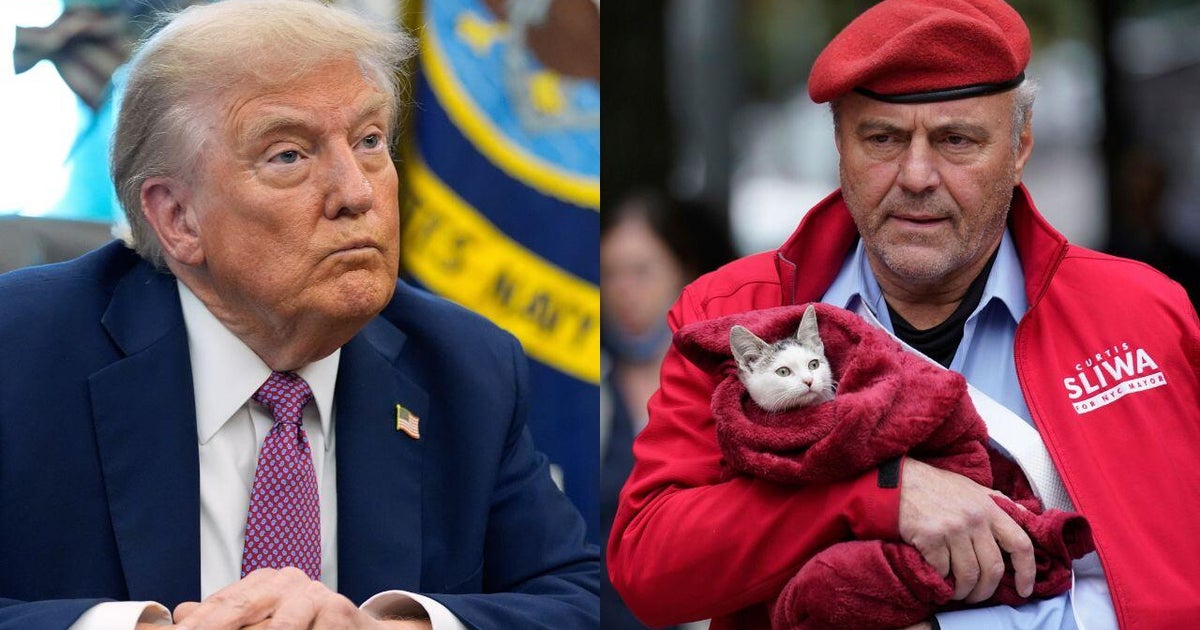 Trump Slams NYC Mayoral Candidate Sliwa's Cat Obsession: A Political Catfight Ensues