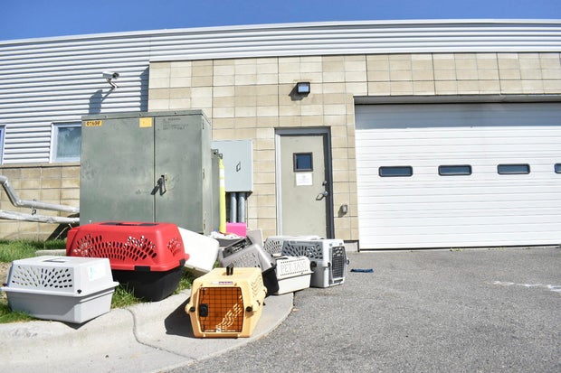 Animal Shelter Meth Smoke 