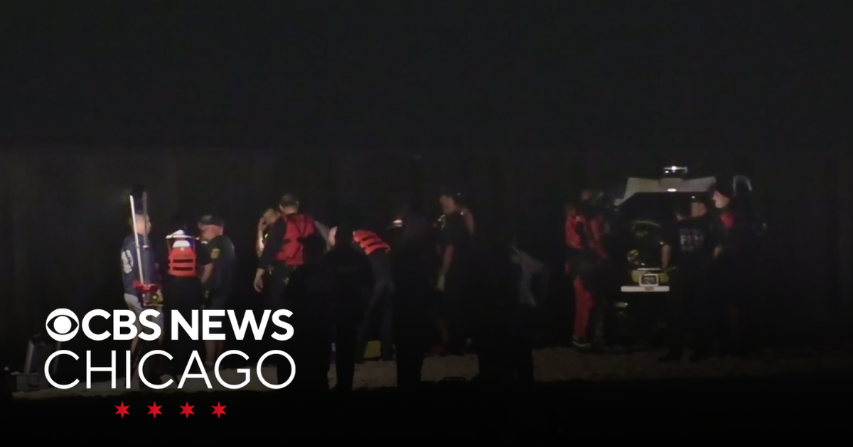 Dive team search for missing swimmer in Evanston, Illinois - CBS Chicago