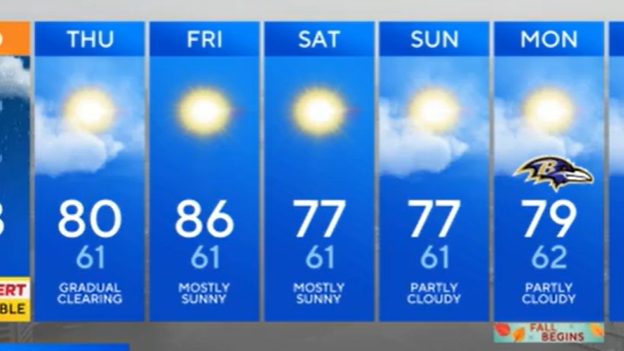 7-day-tuesday-am.png 