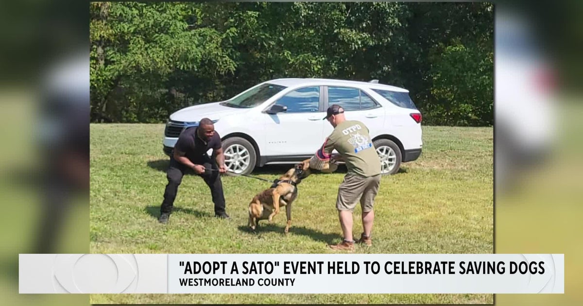 Westmoreland County dog rescue hosts reunion event - CBS Pittsburgh