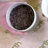 N.J. now allows human composting as an alternative to traditional burial 