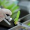 CDC's vaccine advisory panel changes recommendation on combined MMRV shot