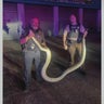 Massive 14-foot Burmese python found by construction crew on U.S. 1 in Pinecrest 