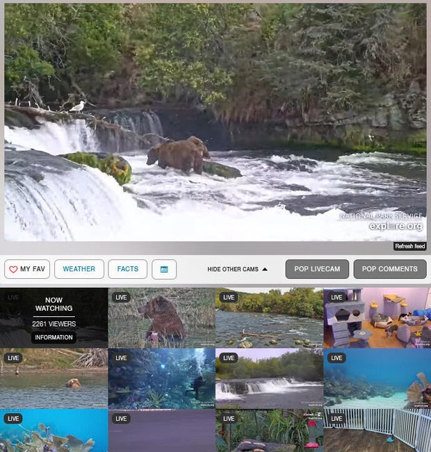 explore-org-webcams.jpg 