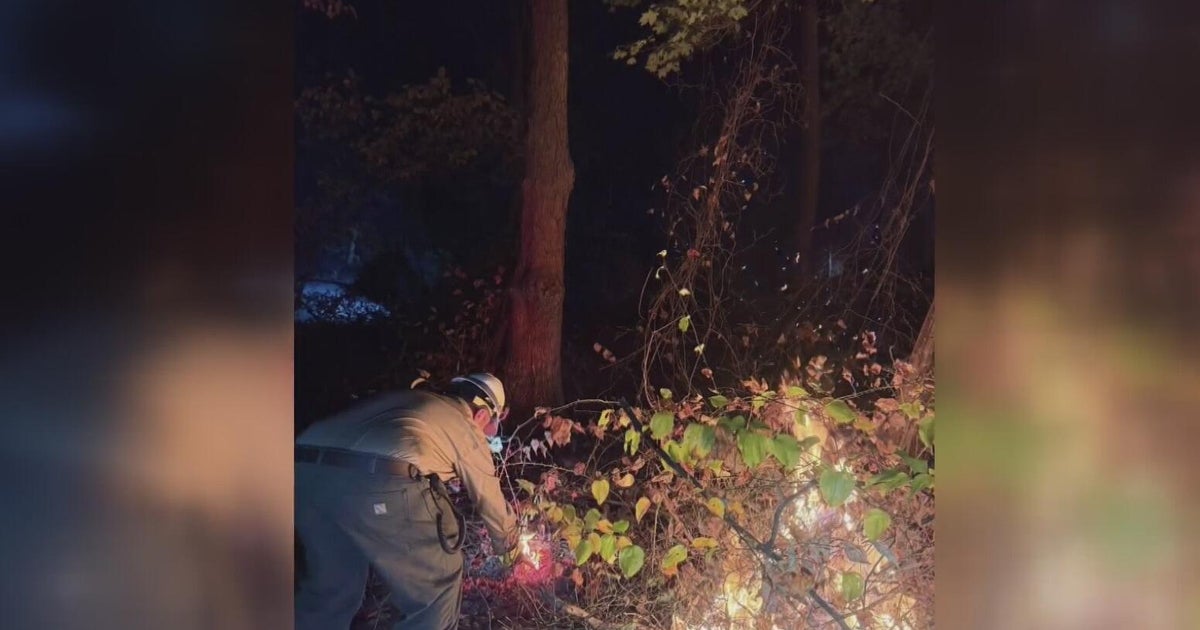 Crews battle brush fire in Fayette County - CBS Pittsburgh