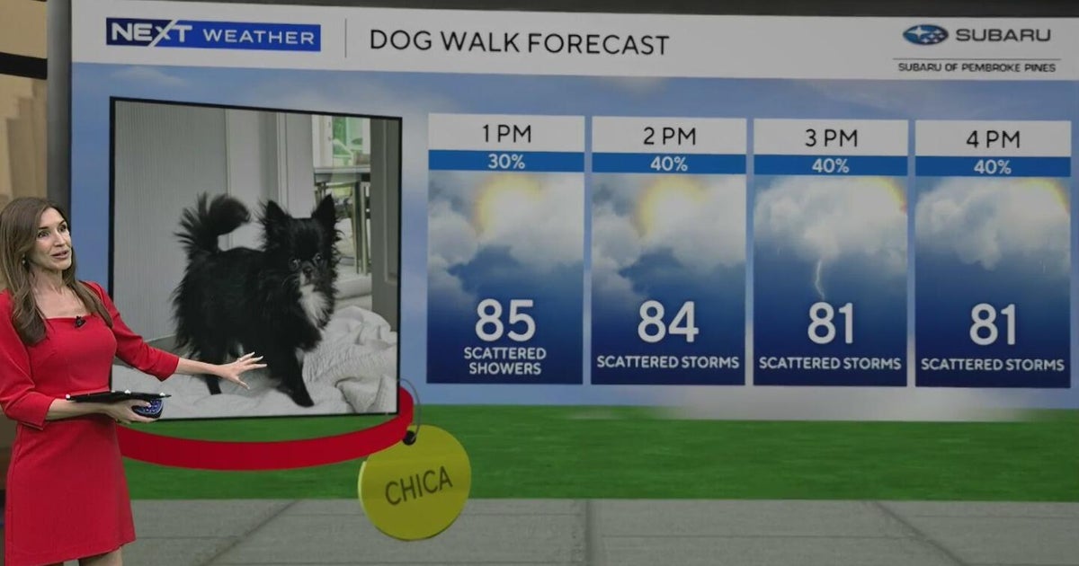 Scattered storms stick around South Florida - CBS Miami