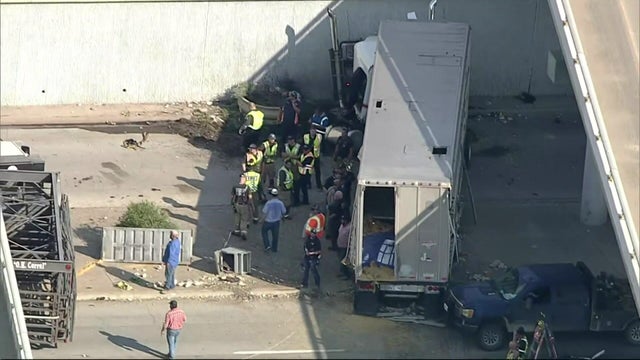 waxahachie-cattle.jpg 