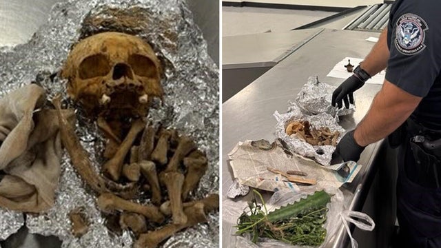 cbsmiami-tampa-airport-human-remains-main-1.jpg 