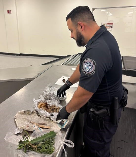 cbsmiami-human-remains-tampa-cbp-2.jpg 