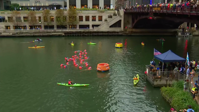 chicago-river-swim.png 