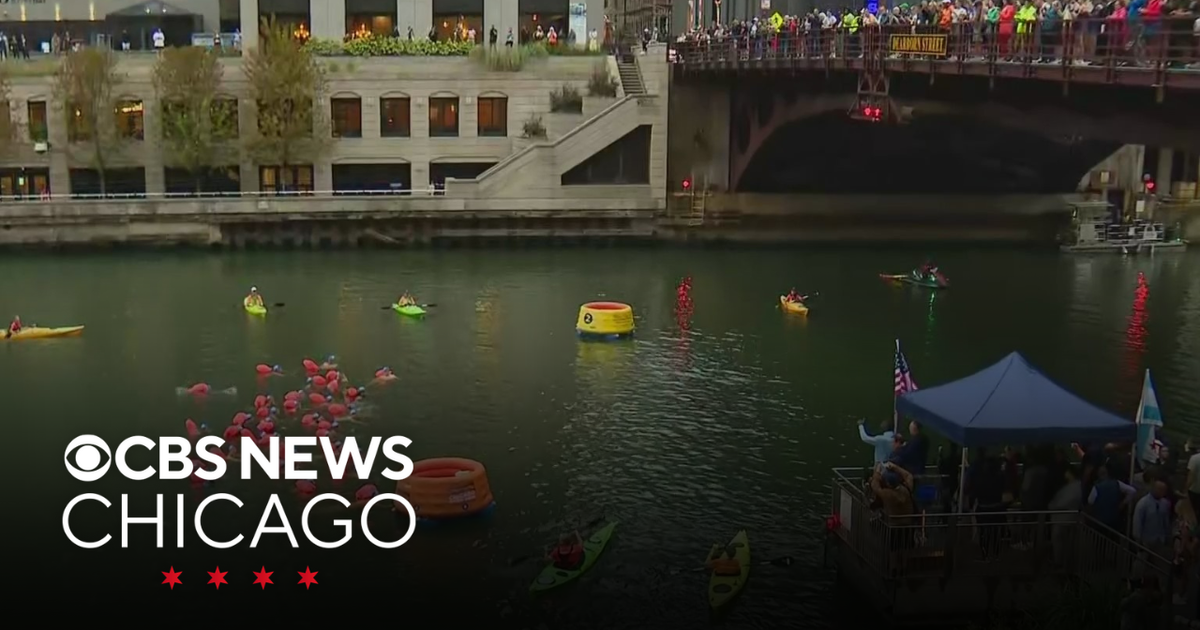 First Official Chicago River Swim in Nearly Century Draws 300 Participants