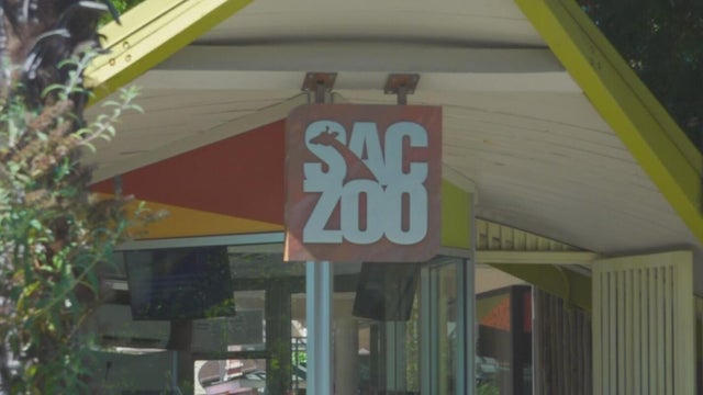 Sac Zoo 