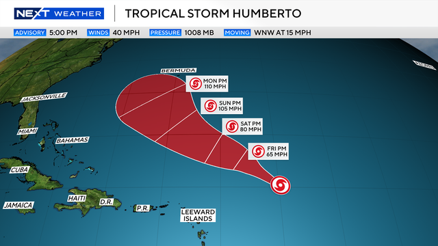 humberto.png 