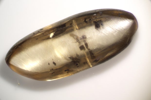 2-79-CT-BROWN.JPG 