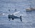 Nearly 10 tons of cocaine seized from fishing boat in Atlantic Ocean