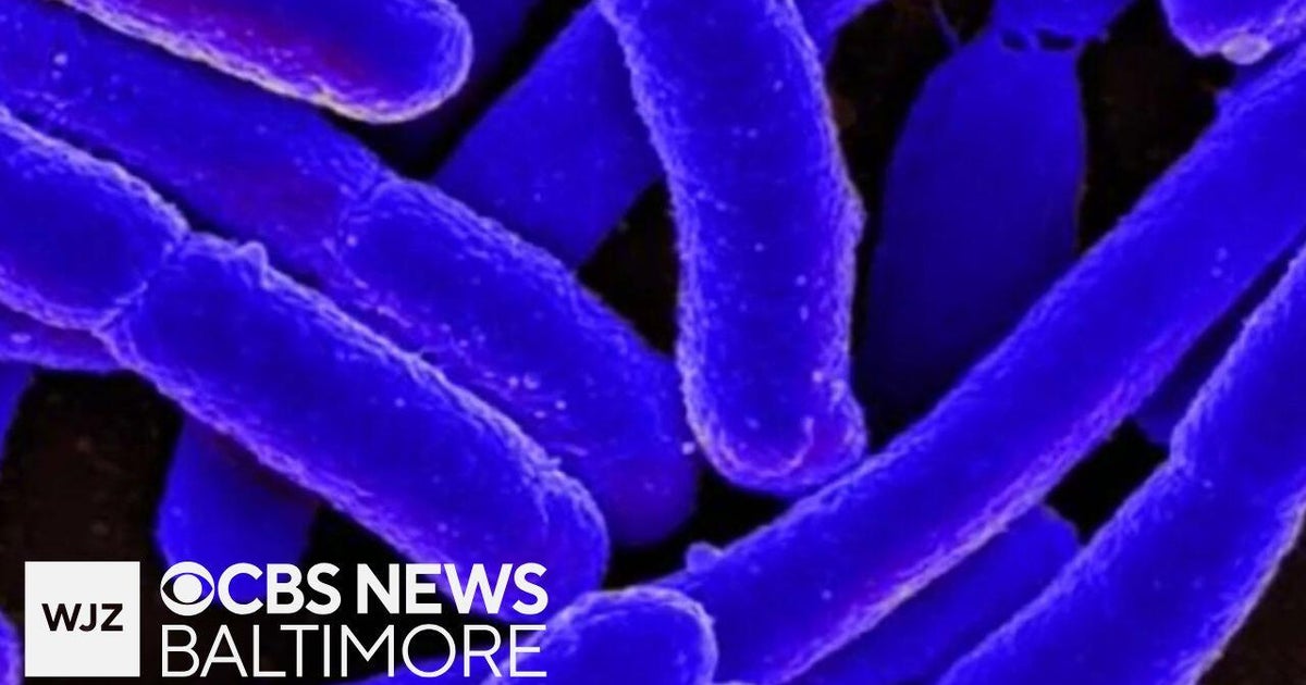 NDM-CRE 'Nightmare Bacteria' Infections Surge Nearly 70% Across US, CDC Warns