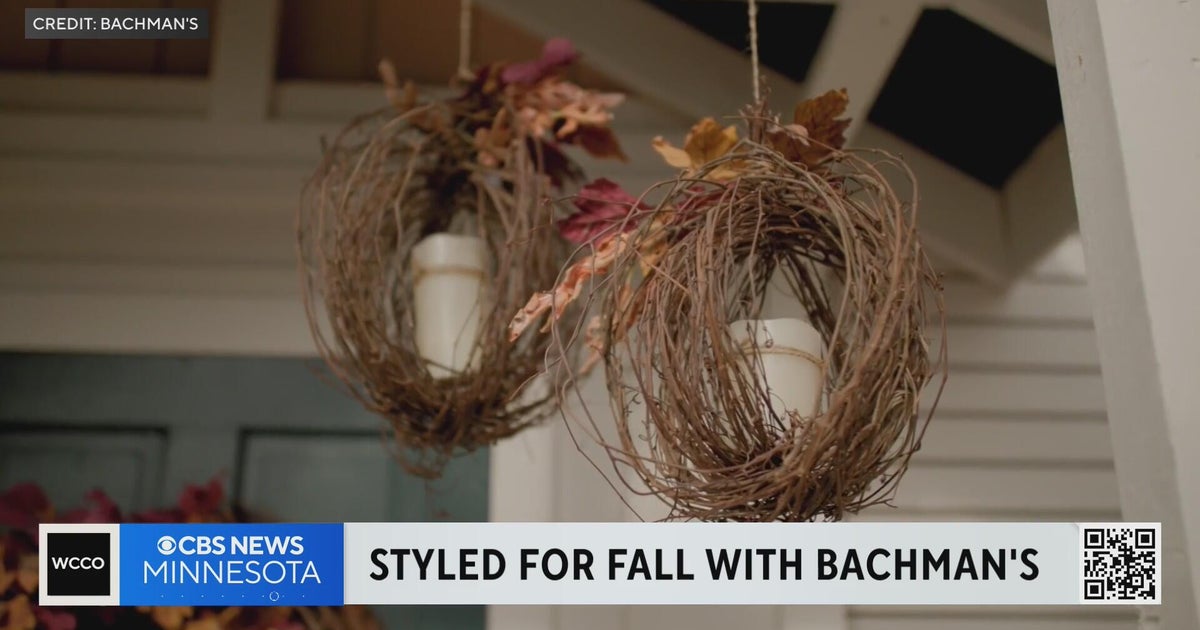 Ready to style your outdoors for autumn?