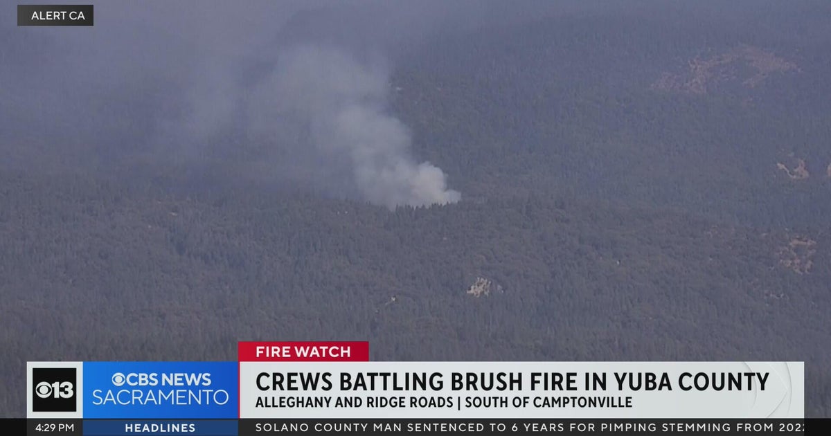 Multiple Wildfires Spark Large-Scale Firefighting Efforts Across South Africa, USA, Canada