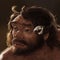 Million-year-old skull could rewrite human evolution timeline