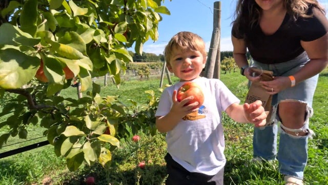 apple-picking-weekend-transfer-frame-820.jpg 
