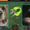 Pa. woman reunited with lost dog thanks to thermal drone pilot 