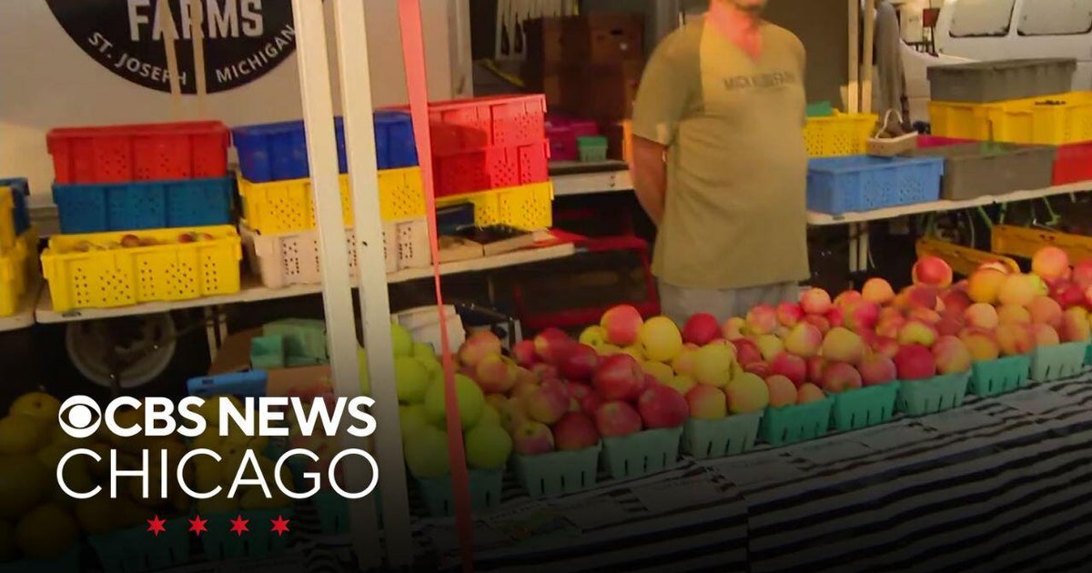Northeast Hosts Multiple Large-Scale Apple Festivals and Cultural Events This Fall