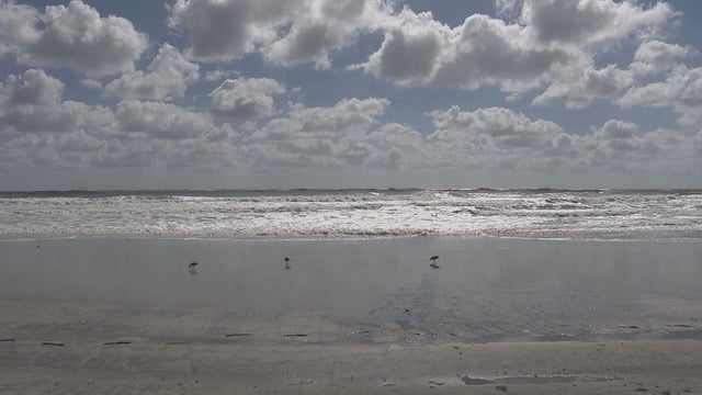16pkg-rh-rough-surf-shore-frame-248.jpg 