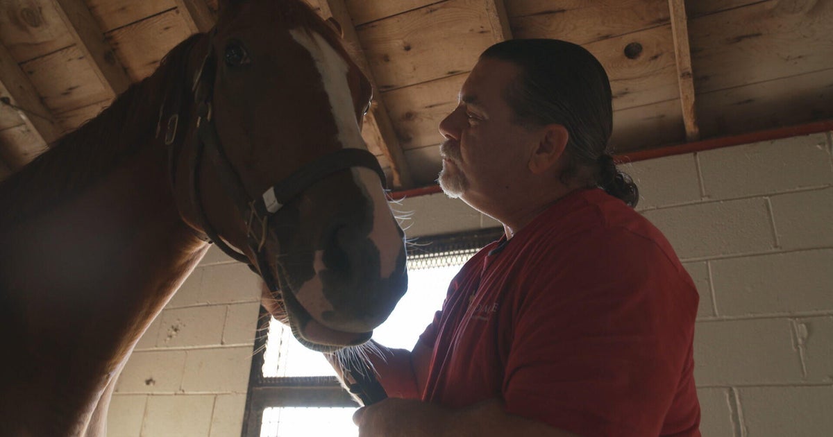 At Kentucky farm, thoroughbred horses give people in recovery a second chance at life