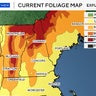 Summer weather is returning. Here's what that means for foliage. 