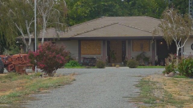y-ta-5pkg-esparto-three-months.jpg 