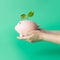 How much interest can a 6-month CD account earn if opened this October?