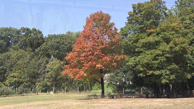 murdock-5p-pkg-fall-fol-wcbs82km-2-hi-res-still.jpg 