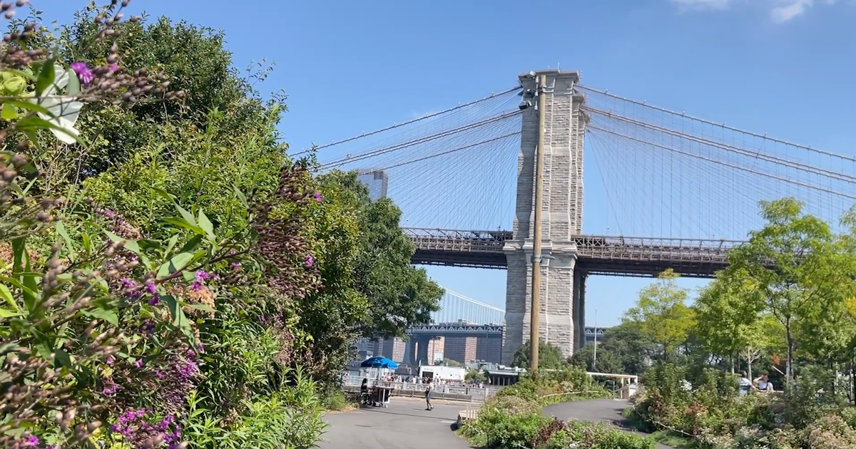 As Brooklyn Bridge Park marks 15 years, here's how it transformed NYC's waterfront