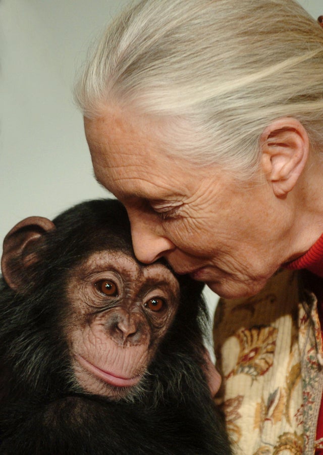 HUNGARY JANE GOODALL 